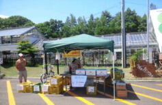 穂別メロン＆野菜即売会のお知らせ