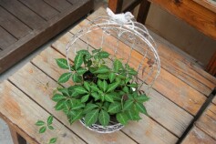 その日の気分で・・・・