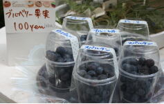 ブルーベリー果実販売！