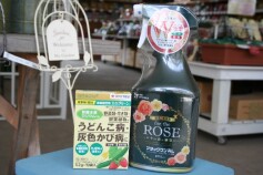 家庭園芸用　カリグリーン