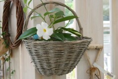 白いサンパラソル