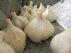 ニンニクでパワーアップ！