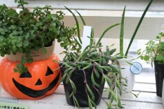 ルビーネックレス