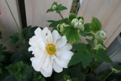 お待たせしました。