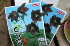 どさんこ～クロユリ～