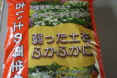 植替えにおすすめ