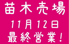 苗木売場12日最終営業