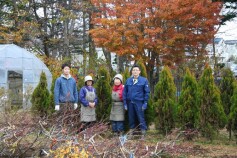 苗木売場最終日