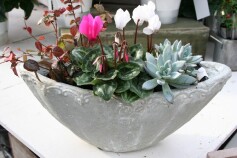 寄せ植えが素敵