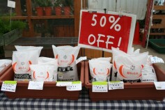 お買い得　芝のたね　50％OFF