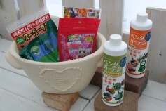 スッタフＨより