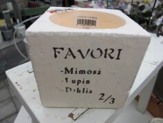 ミュールファボリキューブ