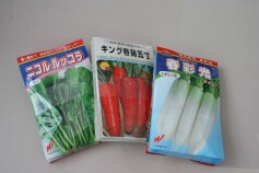 春まきの種が入荷