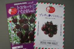 マウロの地中海トマト 　