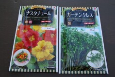 気持ちはサラダ名人