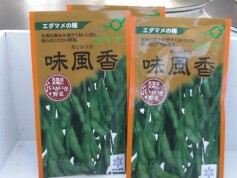 新商品！エダマメ‘味風香’