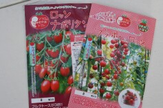 マウロの地中海トマト 　その２