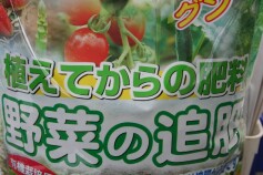 野菜の追肥(本日オープン！)