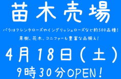 苗木売場4月18日㈯オープン！