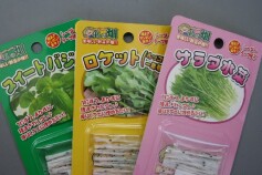 シーダーテープ種子