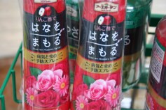 リンゴ酢で花を守る