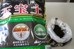 最高級の腐植土