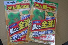 巣ごと全滅！アリの巣コロリ