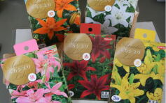 入荷のおしらせ！✩球根