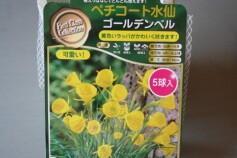 ペチコートスイセン‘ゴールデンベル’