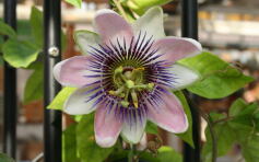 今日は良いことありそう！