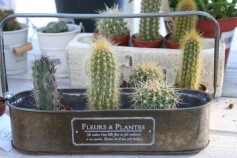 ミニブリキポット