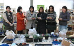 プチ多肉アレンジ講習会*午前の部*