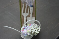 春がまちどおしいですね。