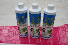 ペンタガーデン