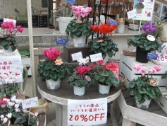 ラスト3日です！