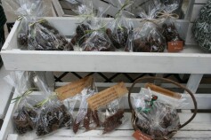 リース作りにいかがですか？