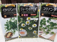 ハーブいろいろ