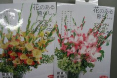 グラジオラス　球根