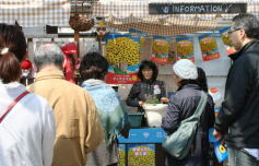 「マックスマムを上手に育てるコツ」講習会