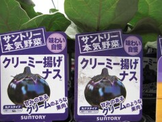 クリーミー揚げナス