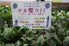 ナスってすごいんです