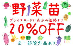 ＊＊やさい苗セール開催＊＊