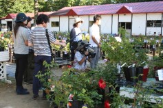 どさんこワイド179で生放送