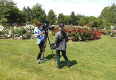 onちゃん 6チャン HTB！雪印種苗バラ見本園