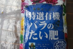バラの堆肥