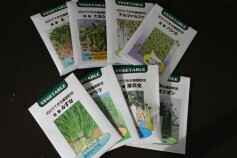 10日でできる健康野菜