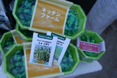 キッチンファーム