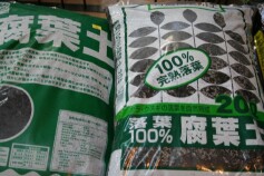 完熟腐葉土