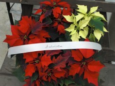 ポインセチアのリース