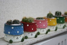 楽しい仲間たち